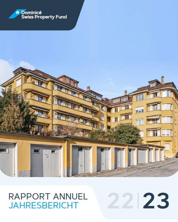 DSPF Rapport Annuel 2023 first page